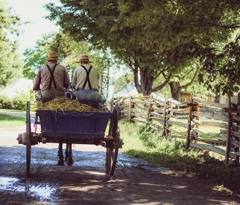 NEW YORK TO PHILADELPHIA AND AMISH TOUR BY BUS