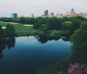 CENTRAL PARK WALKING TOUR